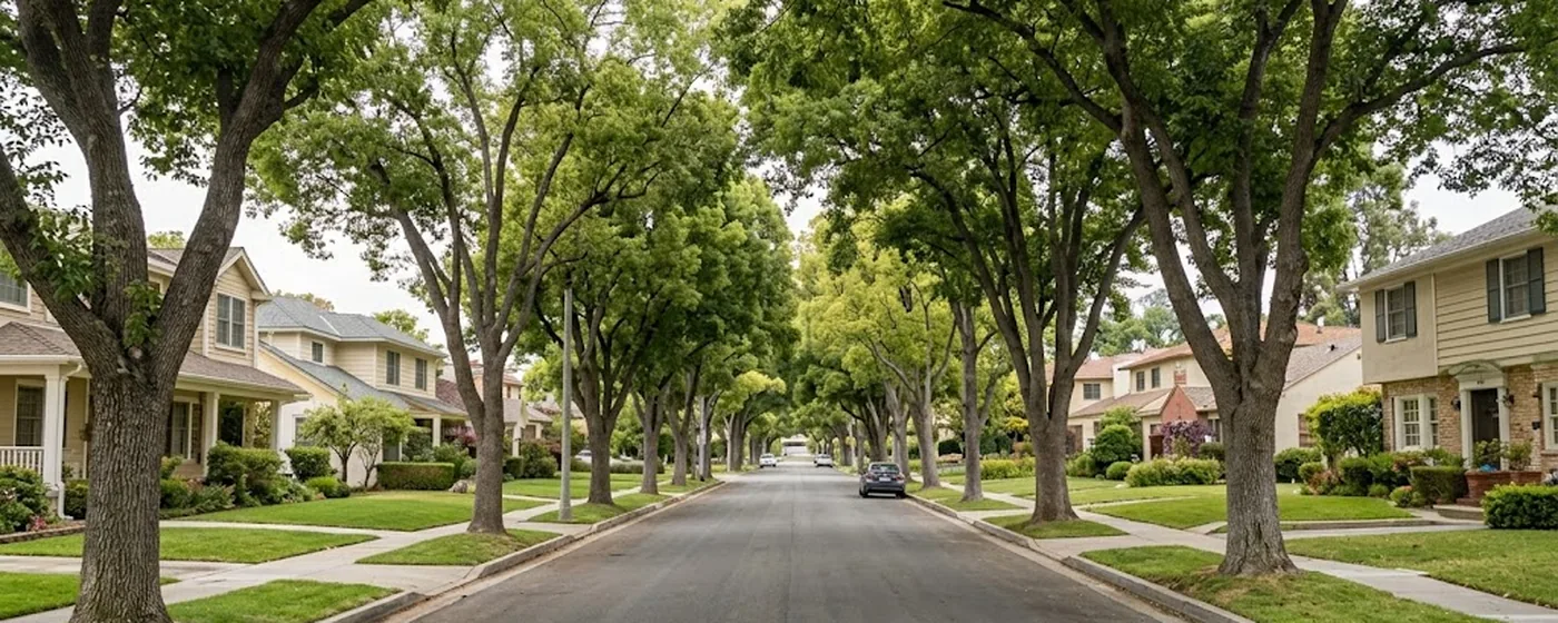 Buy a home in Anaheim CA — get 1% cash back at closing Anaheim tree-lined residential street with traditional two-story family homes and green lawns — Portfolio Home Realty buyer agent